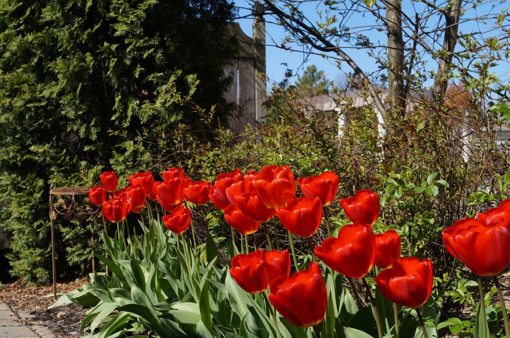 In Elegance Bed & Breakfast Niagara-on-the-Lake ภายนอก รูปภาพ